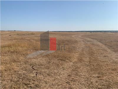 Vanzare  Teren  Pipera  2500mp - Poză 1