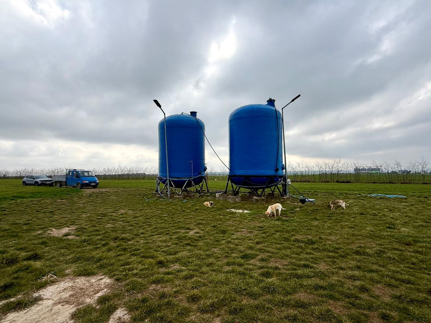 Teren de vanzare in Săcele ideal pentru silozuri, fermă 6 ha - Poză 3
