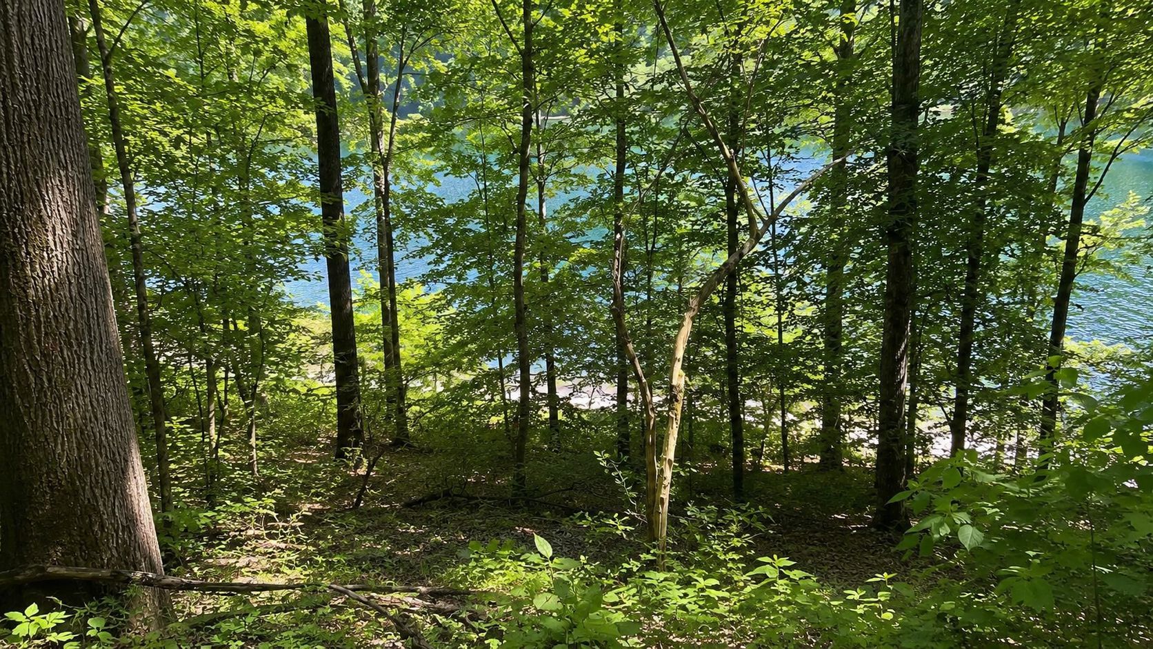 Teren intravilan cu acces la Lacul Tarnița – Somesu Cald - Poză 2