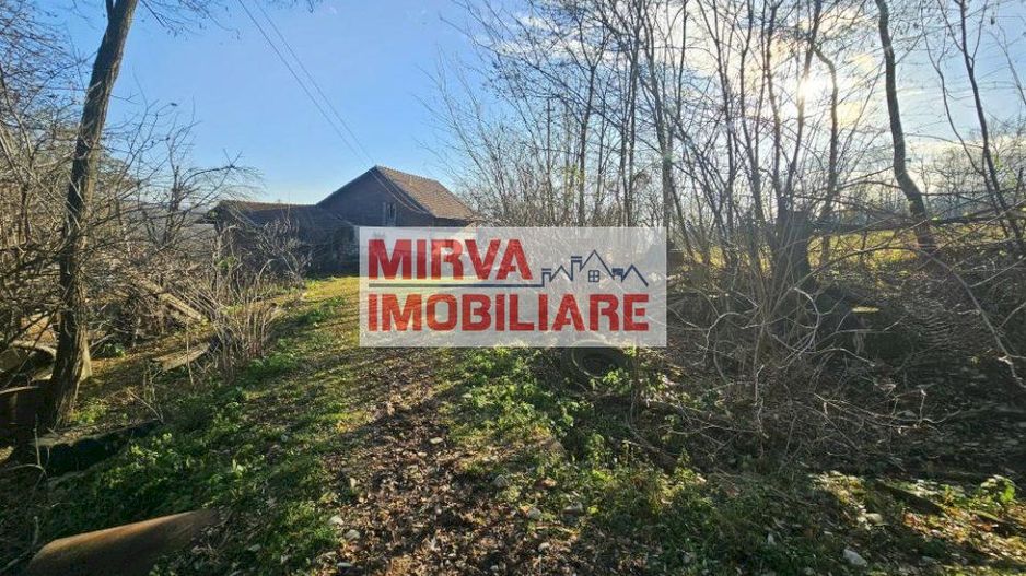 Vanzare casa plus anexa, teren 3843 mp, in Sat Pietriceaua - Poză 2