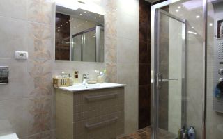 Sat Giroc, ideal pentru diverse afaceri sau pentru locuit. - Poză 27