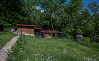 Proprietate Unică în Natură | Teren Mare + Intimitate Totală - Poză 4