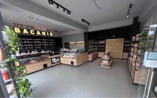 Spatiu comercial Pipera, parter, stradal - Poză 3