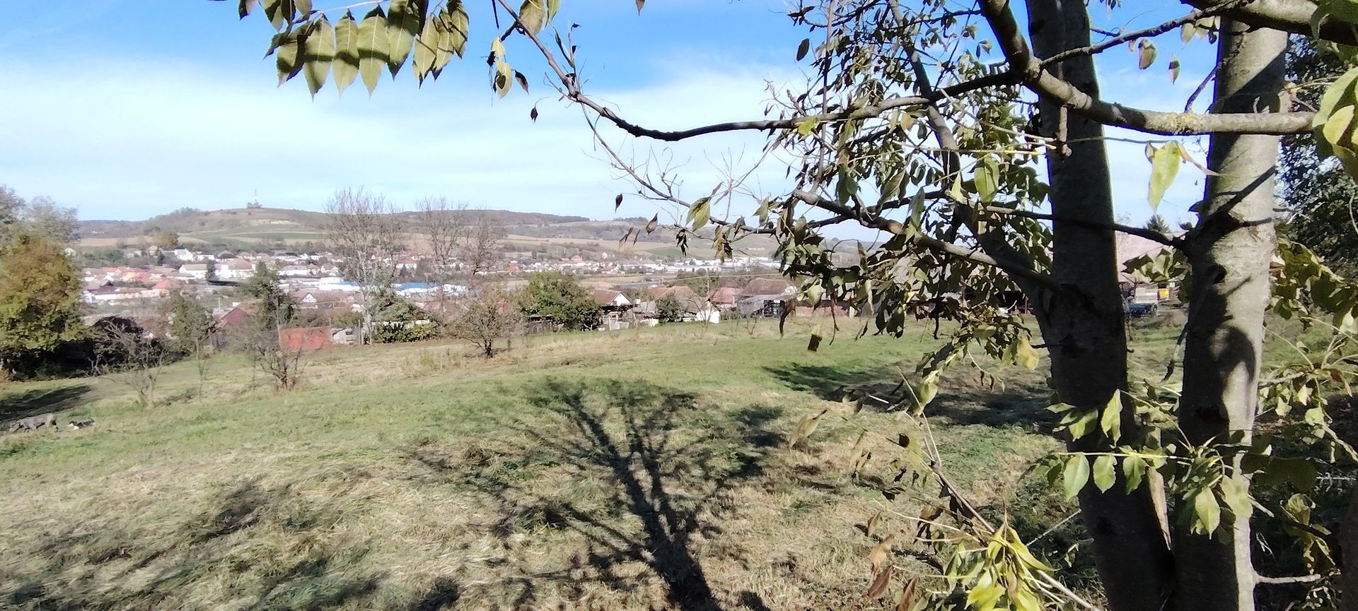 Teren intravilan 3.798 mp în Agnita, cu posibilitate de parcelare - Poză 4