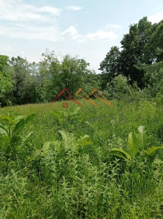 Teren 2500 m2, la sosea, usoara inclinatie, Bustenari, Prahova - Poză 2