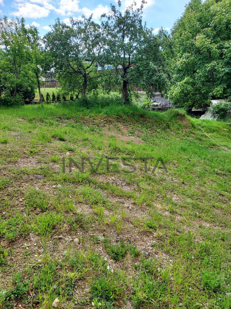 Teren la liziera padurii! - Poză 3