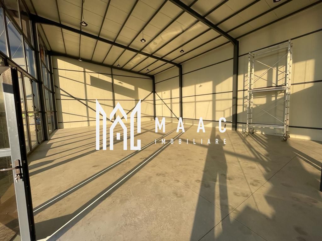 Hala | 250 MP |  Teren 3900 MP | - Poză 8