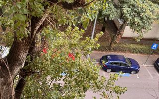 Garsonieră Pajura Decomandat - Poză 8