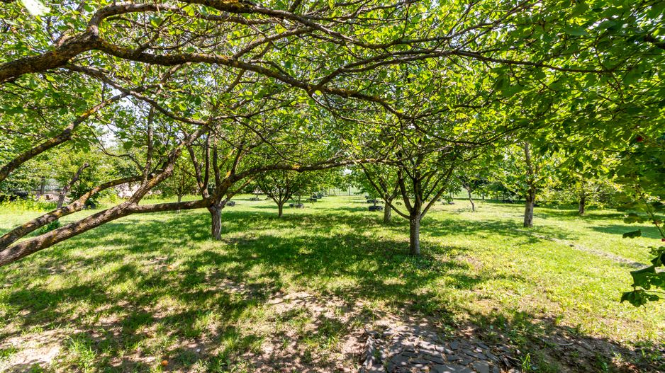 Casă de vânzare | PIPERA/ Teren 3300mp - Poză 25