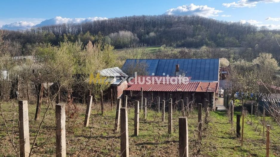 Casă P+M cu 1.558 mp teren, livadă și garaj - Poză 15