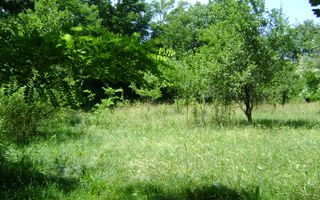 Teren de vanzare in Cornu 1585 mp - Negociabil - Poză 1