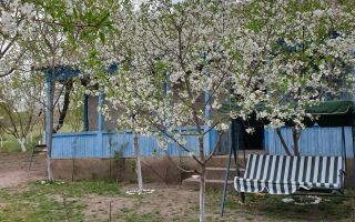 6.000 mp intravilan sat Avintu - Poză 1