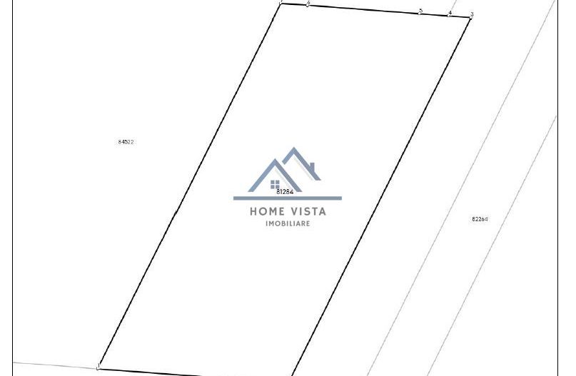 Teren agricol extravilan – Rătești, Argeș – 57.887 mp - Poză 2