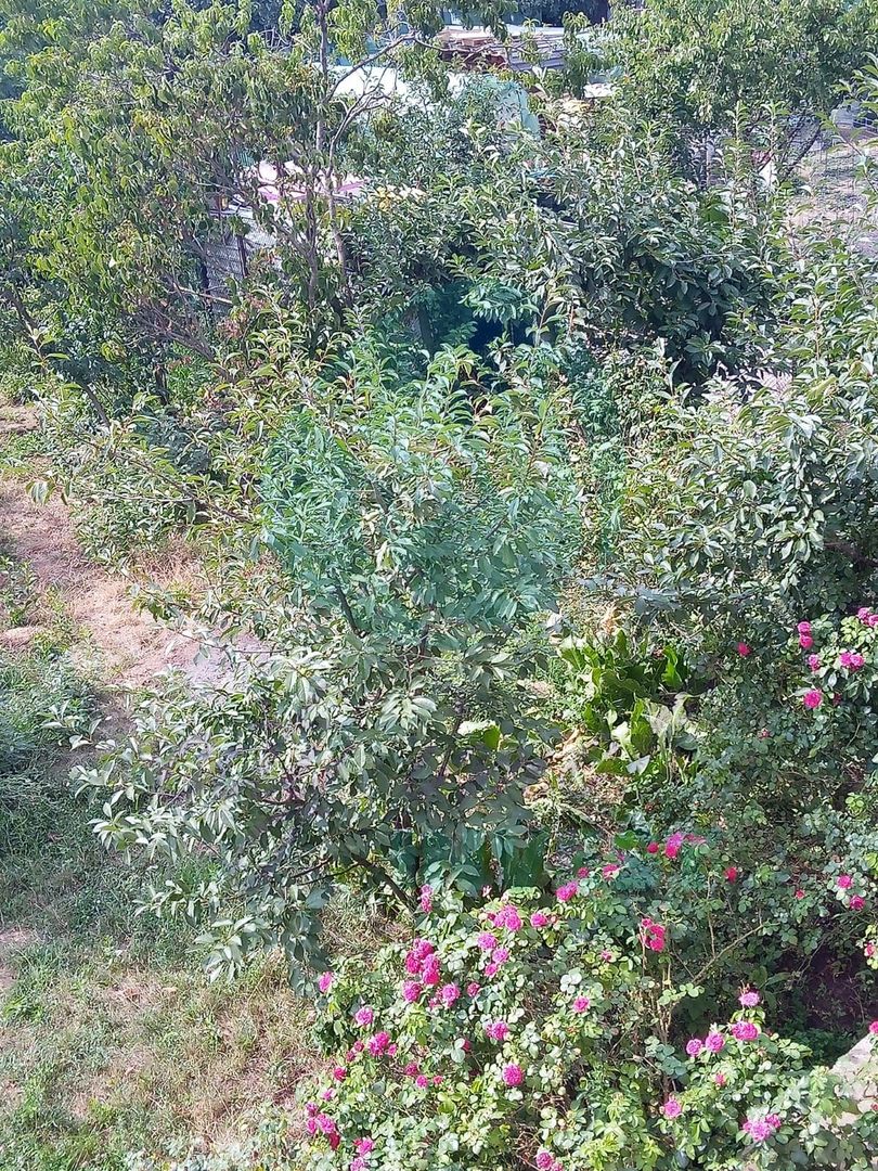 Casa cu o curte libera de 700 mp | Popesti-Leordeni - Poză 15