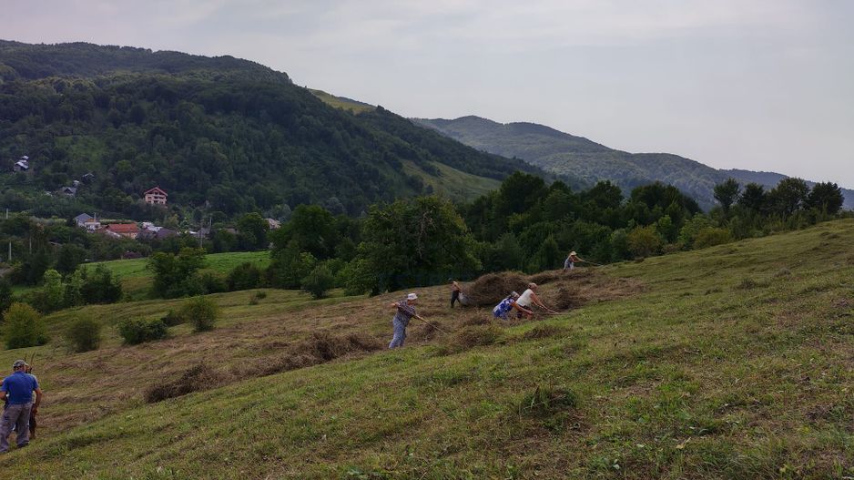 150.000mp Teren cu P.U.Z .de vanzare oportunitate de investitii - Poză 1