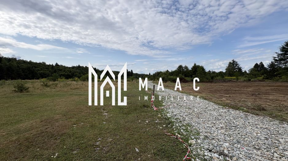Teren intravilan de vanzare I 1990 mp I Valea Avrigului – lângă Cabana Aris - Poză 3