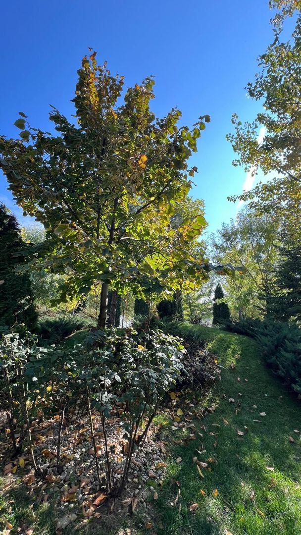 2 camere Laguna Residence - Poză 14