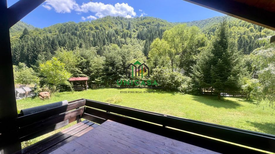 Proprietate deosebita de vanzare – Voinesița, Comuna Voineasa - Poză 6