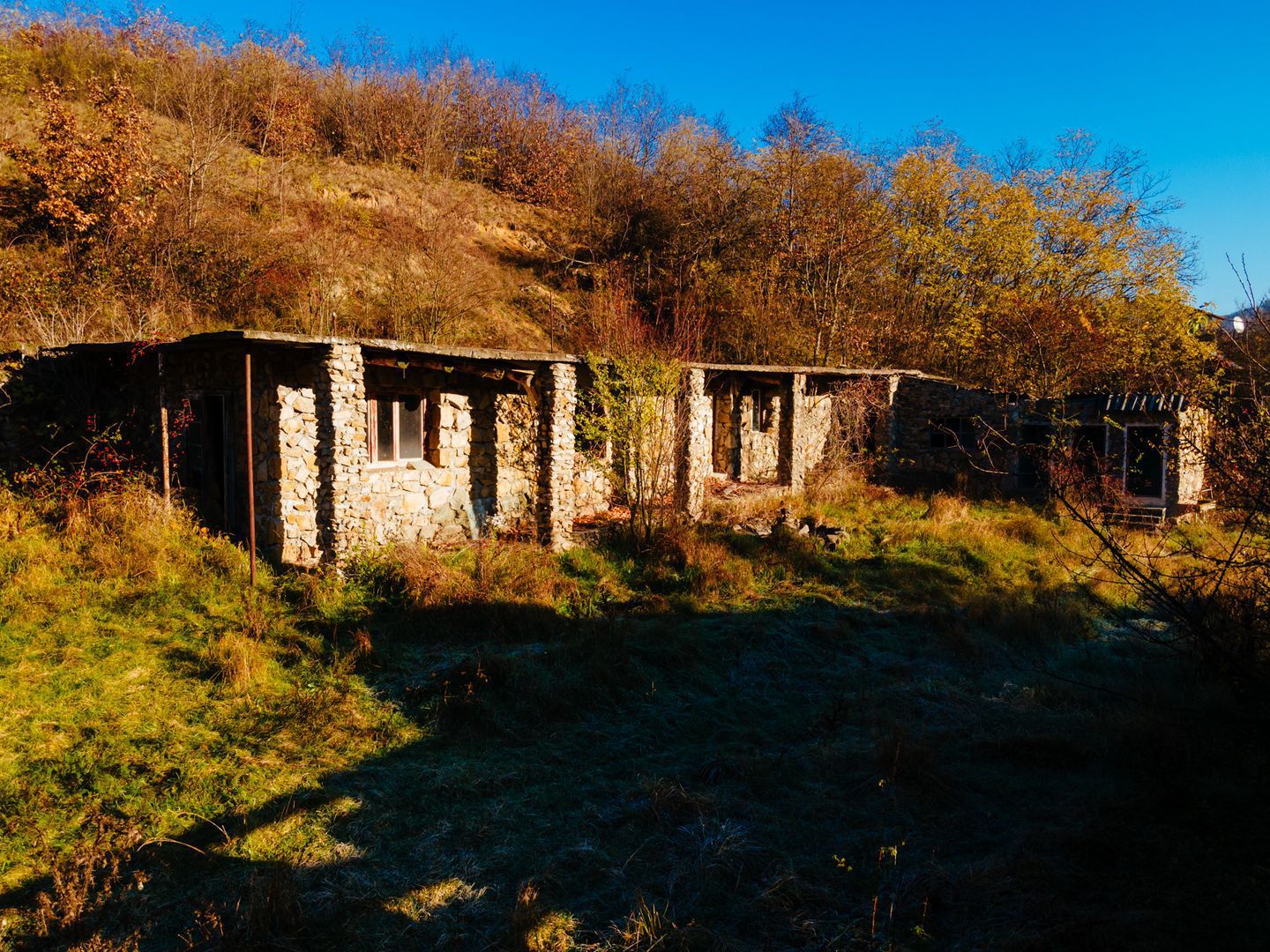 Teren intravilan Cladova - Poză 5