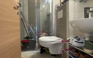 3 CAMERE | 79 MP | MOBILAT UTILAT - PRELUNGIREA GHENCEA - Poză 12