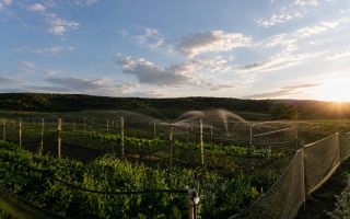 Teren agricol de vânzare – 6,8 hectare cu lac propriu și casă, Nisporeni - Poză 2