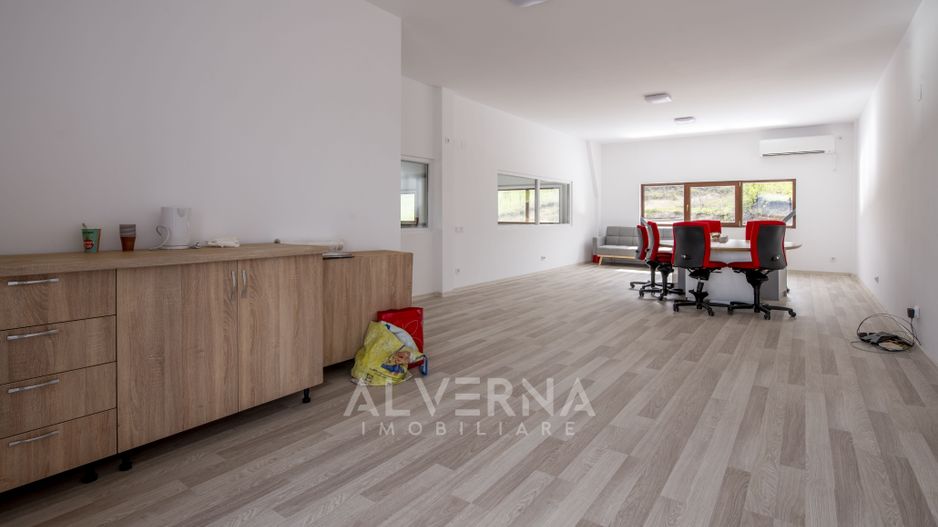 Hala industriala 465mp + anexa | teren 7162mp | front 95ml | Rascruci - Poză 20