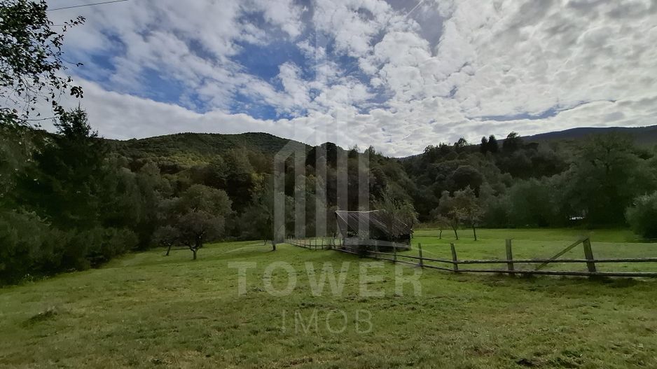 Teren Intravilan de Vânzare – 3622 mp – Râu Sadului - Poză 2