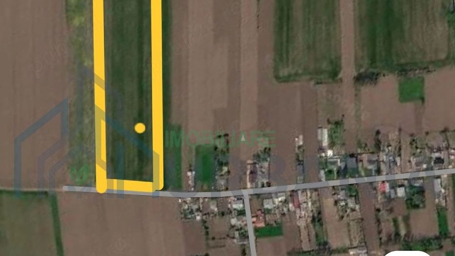 Teren intravilan 14.000 mp în Harmanestii Noi, la 6 km de Pașcani - Poză 1