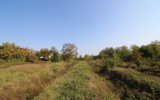 Teren 5963 mp deschidere lac Grivita 42 m cu deschidere la strazi 77 m - Poză 8