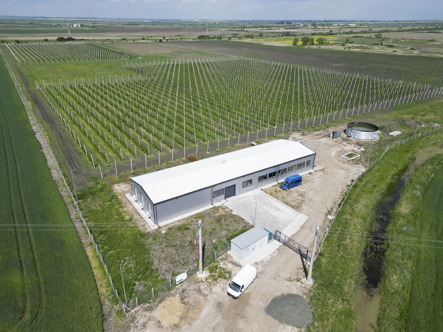 Oportunitate investiție: Livadă de Cireși și Hală - Poză 3