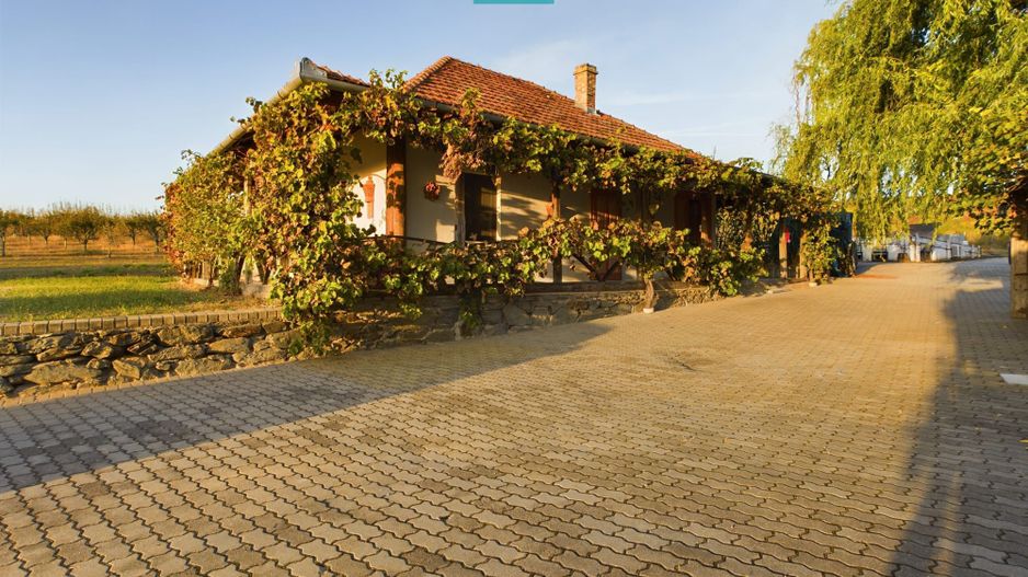 Spațiu comercial - Crama Pivnițele Birăuaș - Poză 18