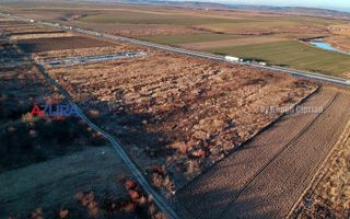 Vanzare Teren Industrial Autostrada A1 parcelabil - Poză 3