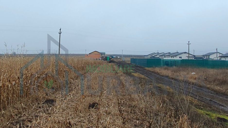 Teren intravilan Holboca 1624mp - Poză 4