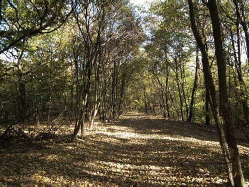 De vanzare Teren extravilan Pasune, (Roca Bruna) Paulis jud. Arad - Poză 3