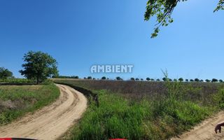 Teren INTRAVILAN pentru investiție, zona SECUIA; - Poză 1