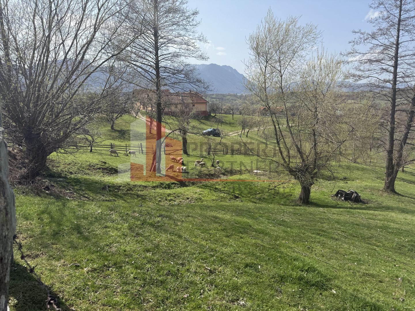 Teren de vânzare în Sohodol, comuna Bran – 4.289 mp - Poză 5