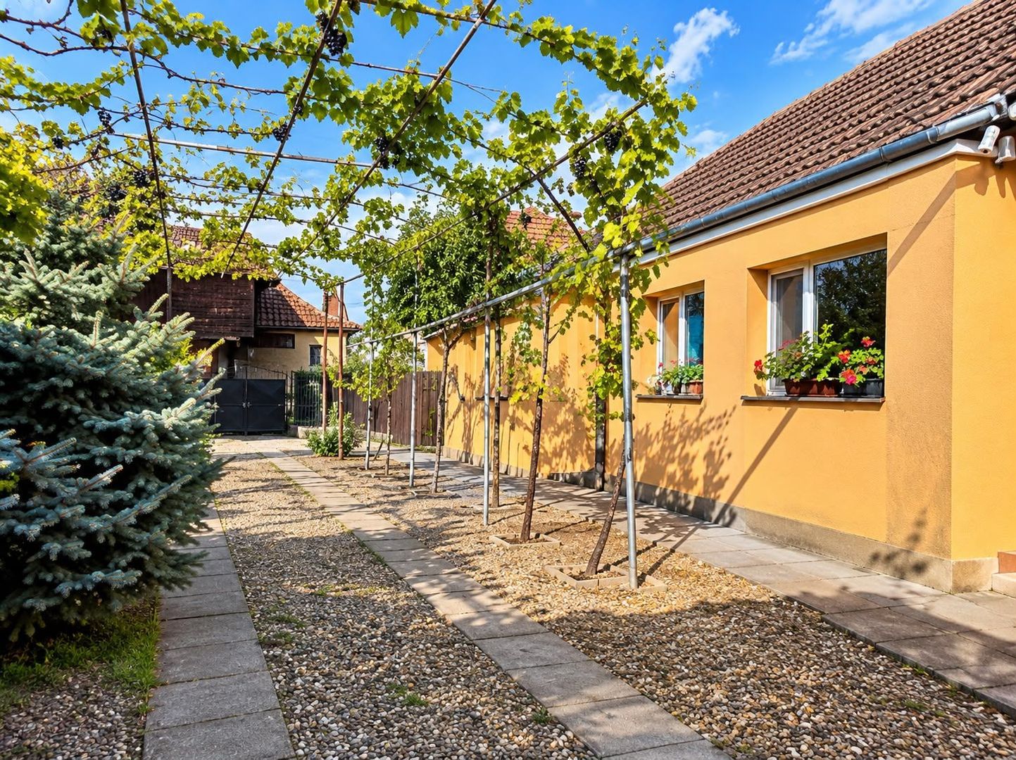 Casă cu 3 camere 85 mp în Freidorf + 2.877 mp teren - Poză 1