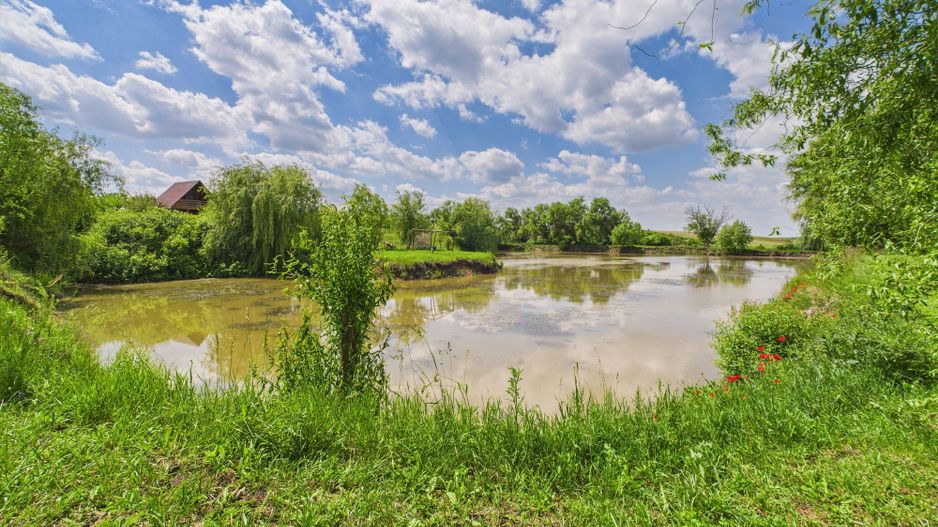 Teren cu baltă- oportunități multiple la Fibiș - Poză 32