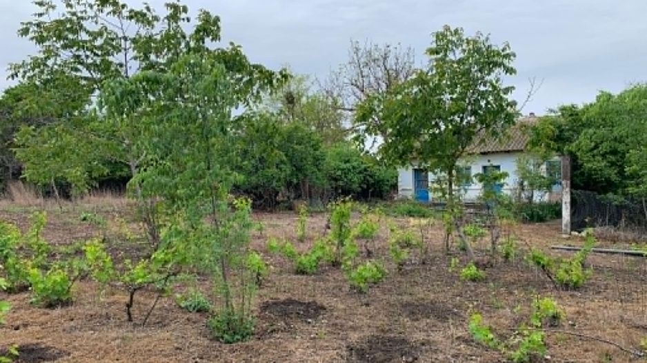 Teren intravilan 2562mp Loc 23 August | Ideal locuiță sau casă vacanță - Poză 6