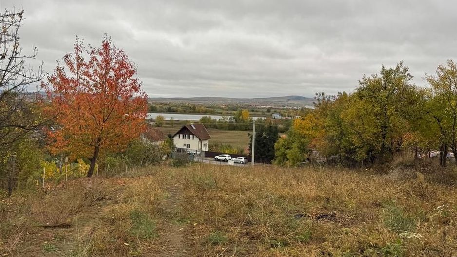 Teren de vanzare Podgoria - Poză 2