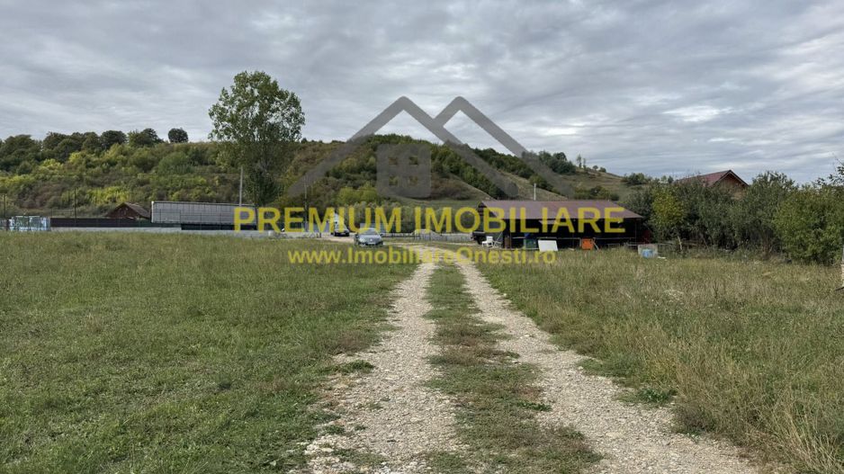 Teren de vanzare la 7 km de Onesti - Casin - Poză 7