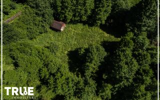 Teren intravilan 2.800 m² în Câmpu Cetății – liniște și natură - Poză 5