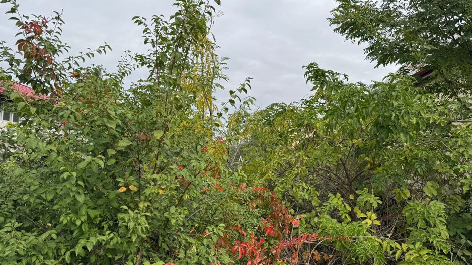 Teren intravilan Pipera I Vanzare - Poză 3
