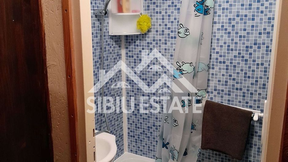 Cabană cu teren și pomi fructiferi Tropinii Noi ,Sibiu - Poză 10