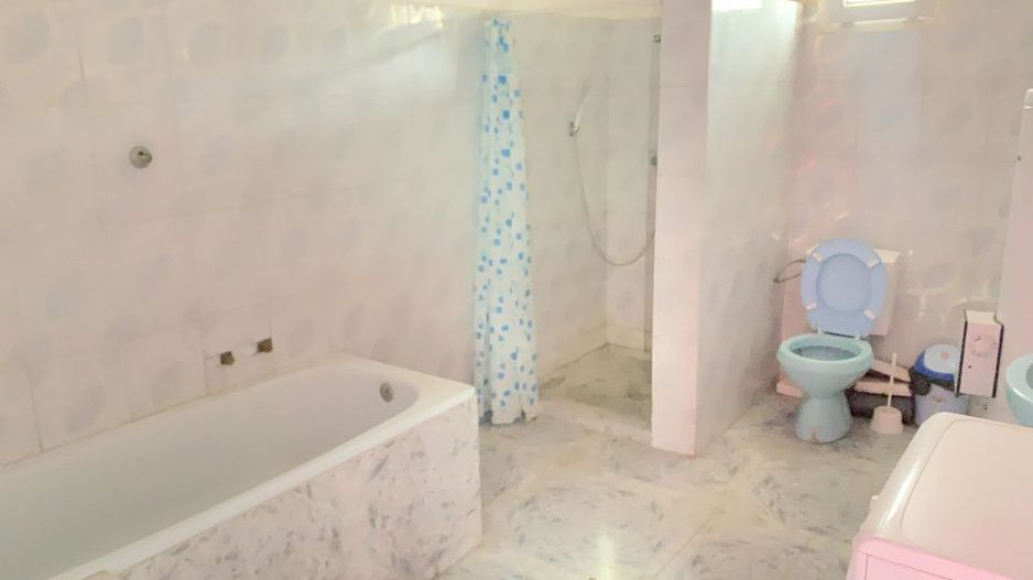  Casa cu teren generos de 1084 mp in centrul comunei Pischia, strada principala - Poză 17