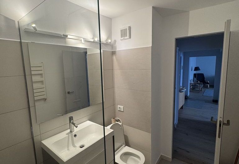 Inchiriere apartament 2 camere | Vitan| Mall Vitan - Poză 19