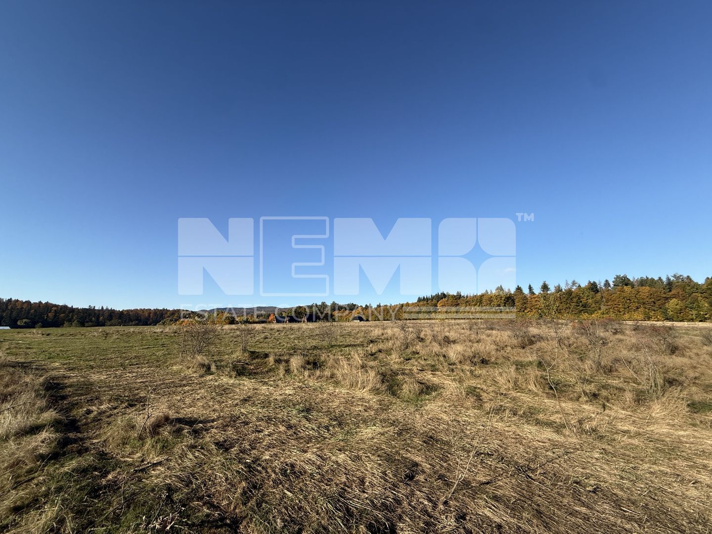 Teren intravilan | Horodnic de Sus – zona Tecioara | 2.900 mp - Poză 2