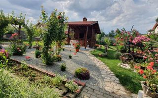 Casa 10 camere, 1000 mp teren, la asfalt, Barabant - Poză 5