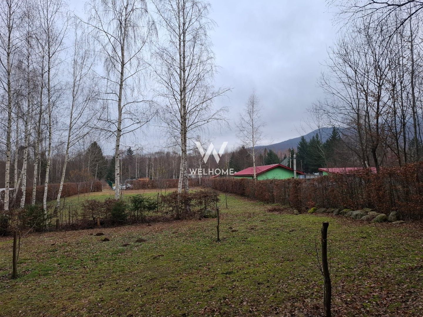 Teren deosebit pozitionat, cu livada, langa padure,  pe Valea Avrigului - Poză 1