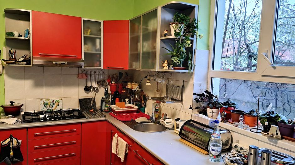 Casă individuala 279 mp utili anexe și teren 341 mp zona Trei Stejari - Poză 3